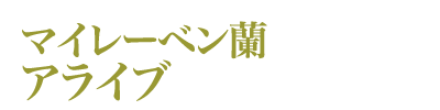 マイレーベン蘭・アライブ